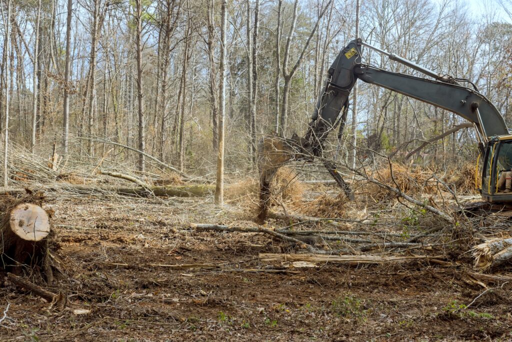 An excavator clearing land and trees in Albany NY.