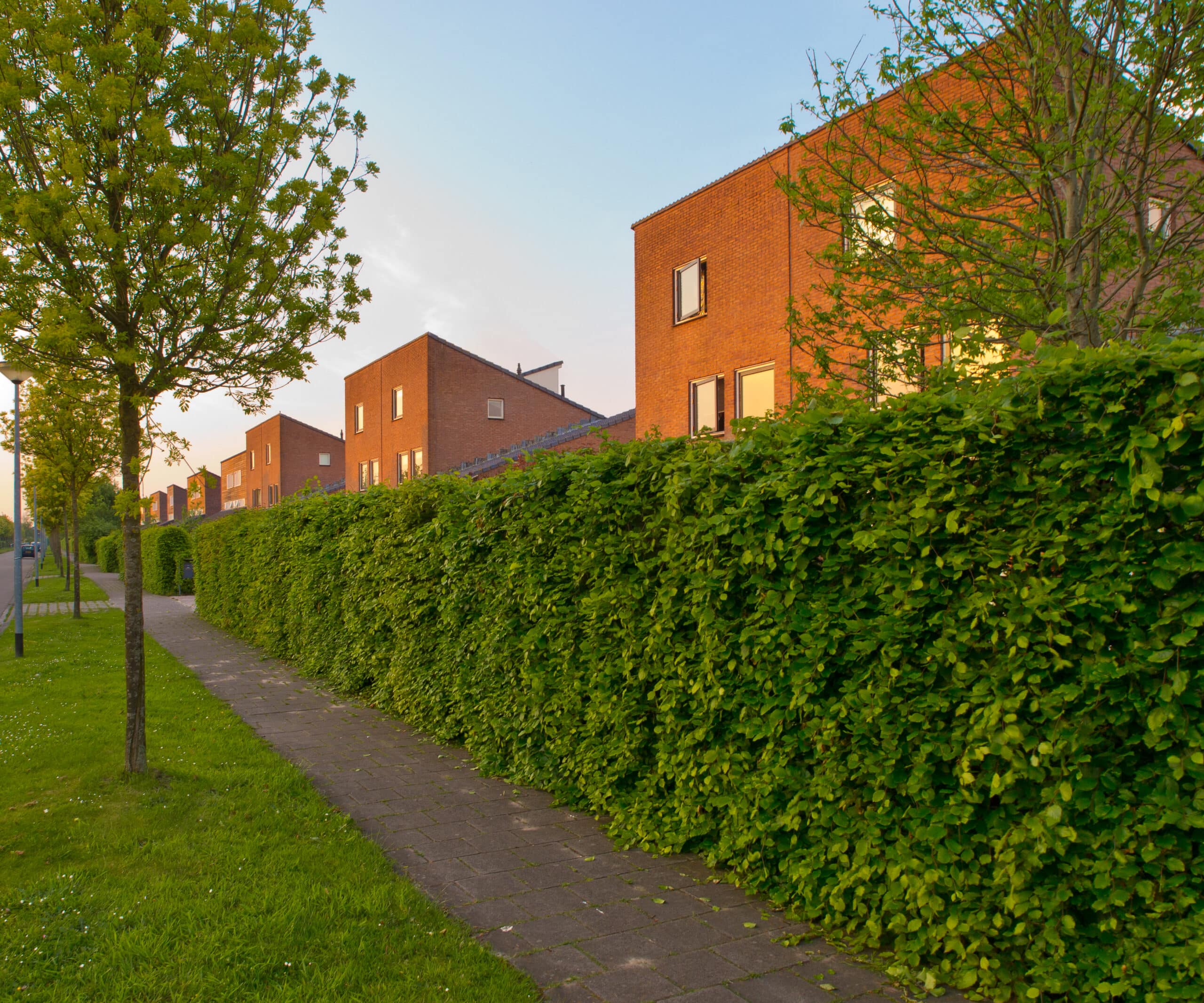 Suburban street with modern houses and sidewalk in the Netherlands